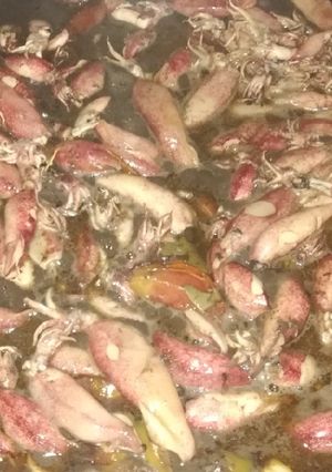 A picture of Adobo squid.