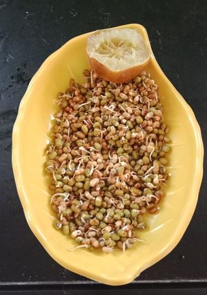 સ્પ્રાઉટ મગ અને મઠ નું સલાડ (Sprout Moong Moth Beans Salad Recipe In Gujarati) રેસીપી મુખ્ય ફોટો