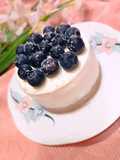 Mini ceeskake light con yogurt greco e mirtilli