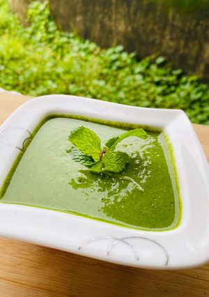 ગ્રીન ચટણી(green chutney recipe in Gujarati) રેસીપી મુખ્ય ફોટો