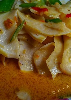 Foto resep Opor Rebung Endes