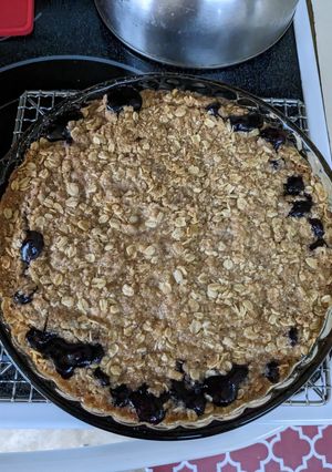 A picture of Blueberry Crisp.