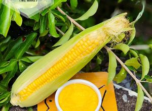 Hình của món Flan Bắp Nướng Lò.