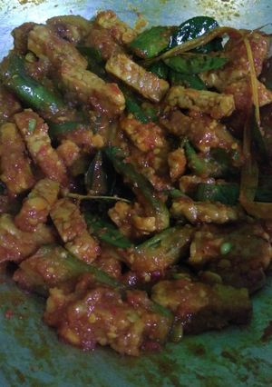 Foto resep Terong tempe balado