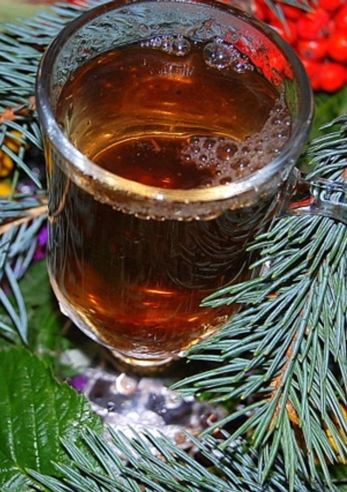 Чай "хвойний"