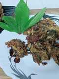 Gongura and Cabbage Pakoras