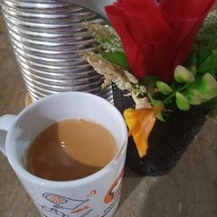 A picture of Chai.