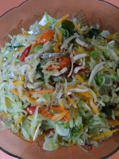 Foto resep Tumis labu Siam teri medan