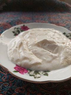 عکسی از دستور ماست خونگی