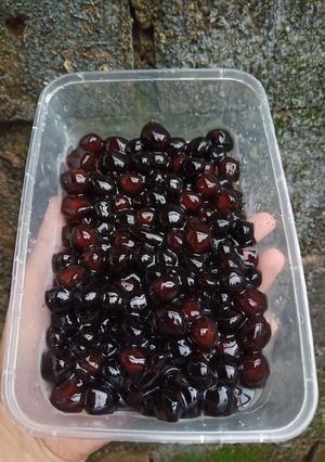 Foto resep Boba/Bubble/Tapioka Pearl