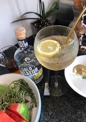 A picture of Honey, lemon & thyme Gin & Tonic Cocktail.