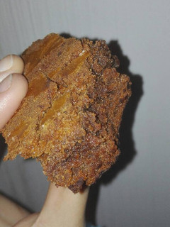 Una foto de Brownie