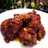 Semur ayam kering