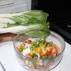 Stewed Beef With Pak Choi aka bakchoy A picture of Stewed Beef With Pak Choi aka bakchoy.
