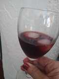 Un Brindis de Vermouth Macerado con Pitangas