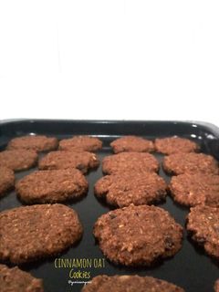 Foto resep 132. Cinnamon Oat Cookies