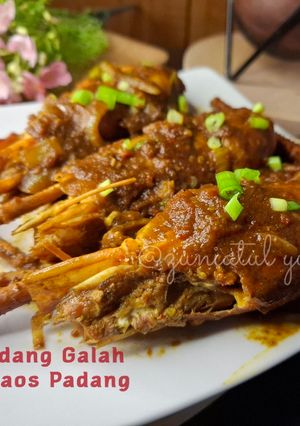 Foto resep Udang Galah Saos Padang