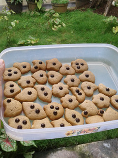 Foto resep Cokies spekuk