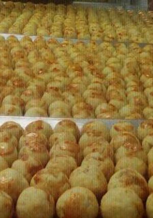 Foto resep Nastar