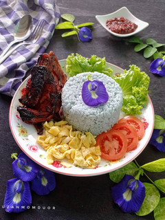 Foto resep Nasi Uduk Fiber Cream Bunga Telang