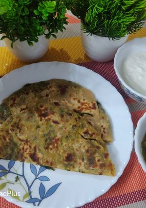 मैंथी के भरवा परांठे(methi ke bharwa parathe recipe in Hindi) रेसिपी मुख्य फोटो