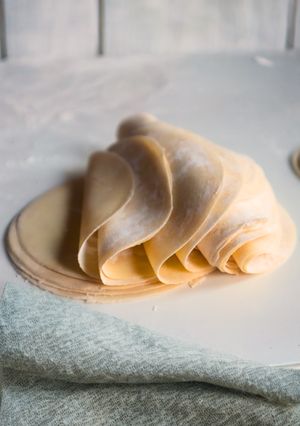 Foto resep Kulit Siomay/dimsum/Pangsit/Gyoza/Mandu - Homemade