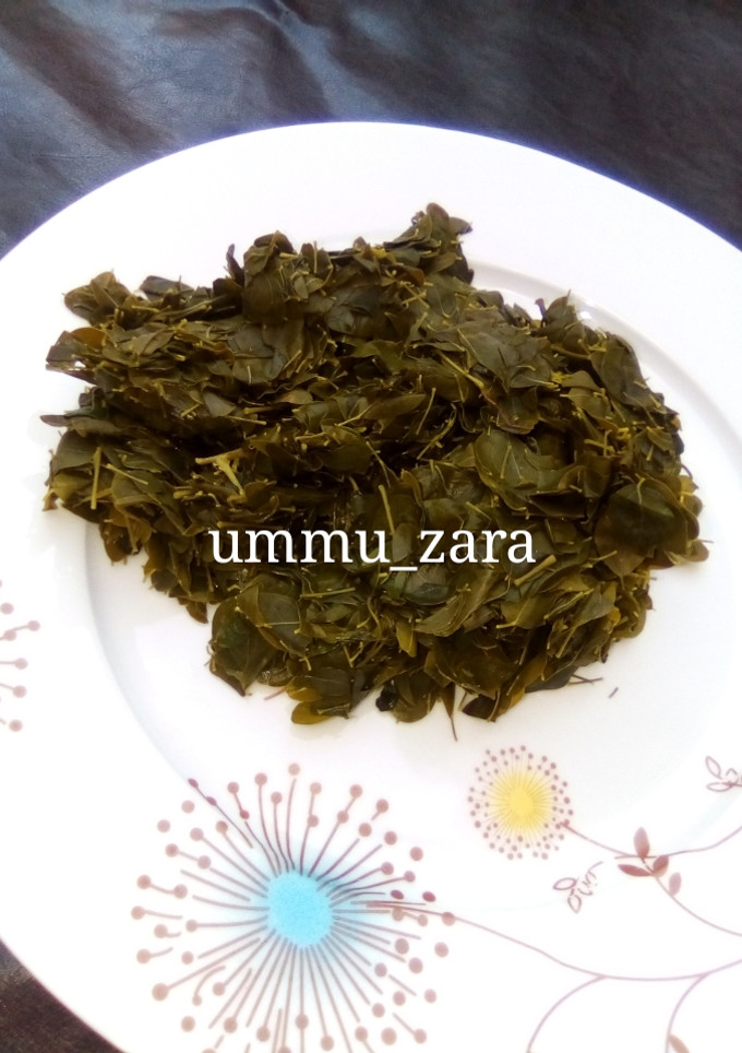A picture of Moringa.