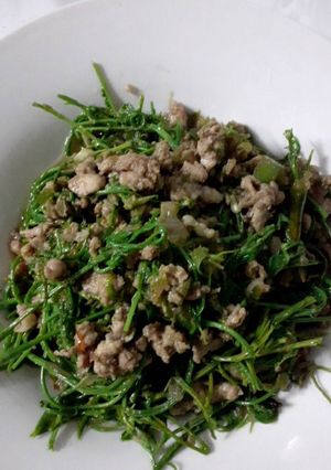 รูปของ ผัดชะอมกะปิหมูสับ