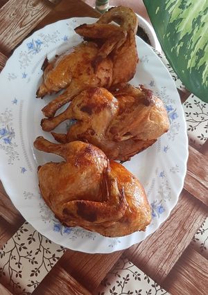 عکسی از دستور اکبر جوجه به روش رستورانی🐤