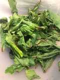 Pesto z botwinki