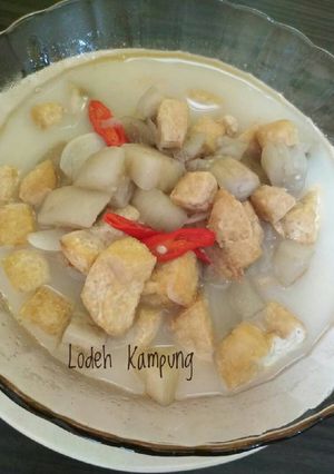 Foto resep Lodeh Kampung