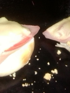 Una foto de Falsa pizza en 5 minutos