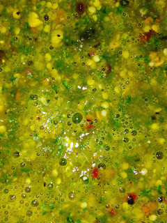 Una foto de Salsa verde, de tomate de milpa