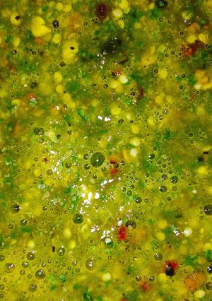 Una foto de Salsa verde, de tomate de milpa