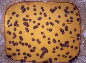 Una foto de Torta de zapallo