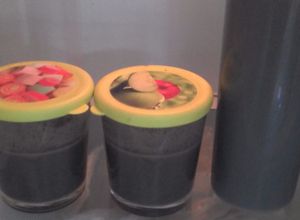 Hình của món Sữa mè đen 🍵.