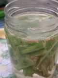 Picles de talo de couve
