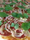 Massa de pizza rápida