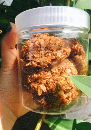 Foto resep No- Bake Oatmeal Cookies