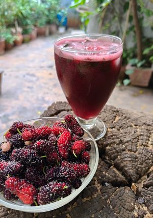 A picture of Mulberry Mojito.