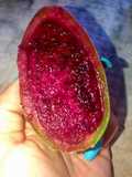 Prickly pear syrup