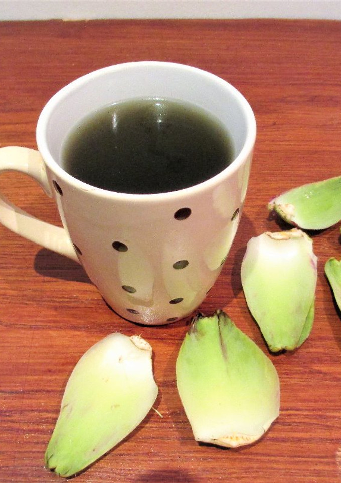 Una foto de Infusión de alcachofa, puerro y cebolla