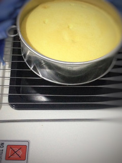 Foto resep Japanese Cotton Cheese Cake