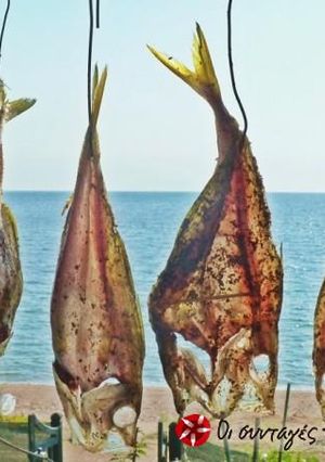 Φωτογραφία της συνταγής Σαβρίδια λιόκαυτα