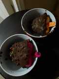 Helado de plátano y galleta tritón con cobertura chocolate