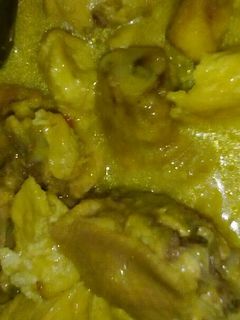 Foto resep Opor Ayam Tahu