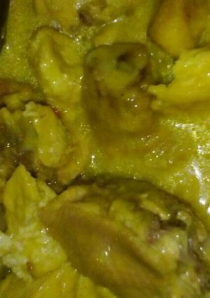 Foto resep Opor Ayam Tahu