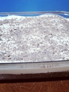 Una foto de Postre fácil de brownie y crema