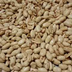 Kacang Bawang-レシピのメイン写真