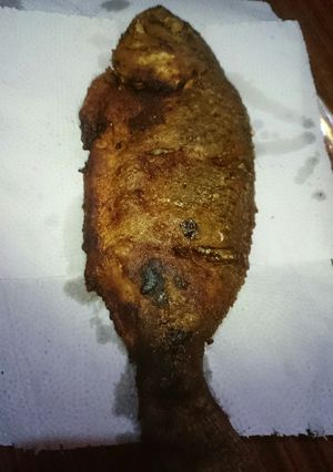 صورة لوصفة سمك بلطي